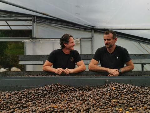 Panama Iris Estate Symbiosis